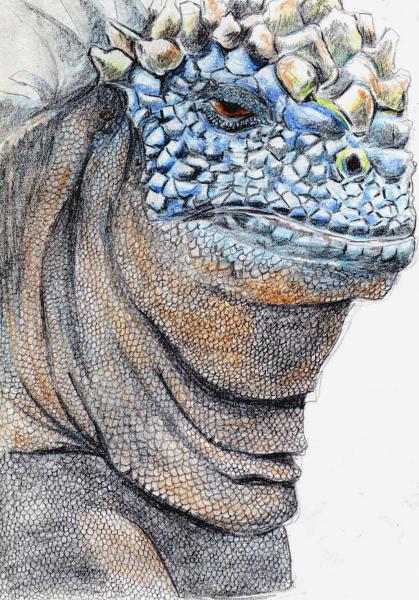 REPTILE